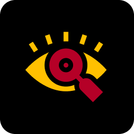 Vision Icon